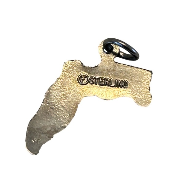 Florida Sterling Charm Only Palm Tree Cities Travel Charm Silver And Blue State - Picture 3 of 4